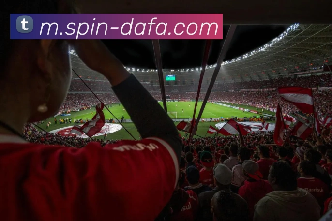 App Interface Preview